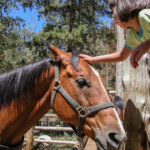 Children playing with horses inside the Skopje Zoo.